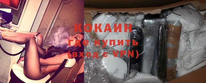 Cocaine FishScale  как найти закладки  Ижевск 