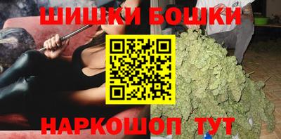 гидра Гатчина