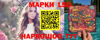 гидра Гатчина