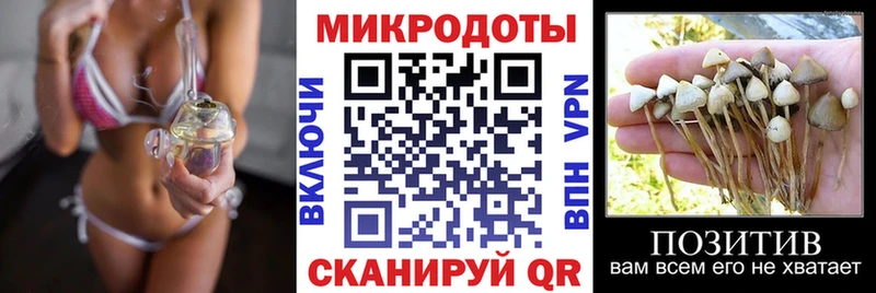 МЕГА маркетплейс  Ижевск  Псилоцибиновые грибы Cubensis 
