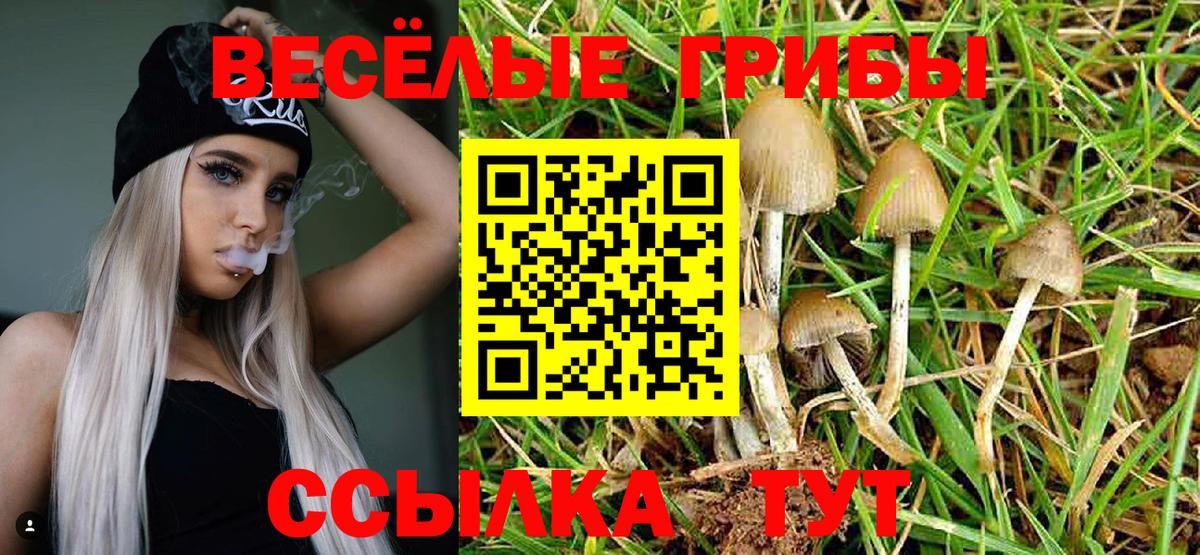 хочу наркоту  Псилоцибиновые грибы Magic Shrooms  Ижевск  Вход с VPN  Галлюциногенные грибы ЛСД 