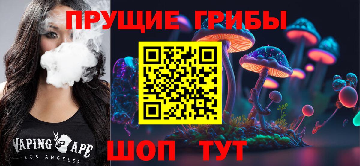 Галлюциногенные грибы Psilocybe Ижевск